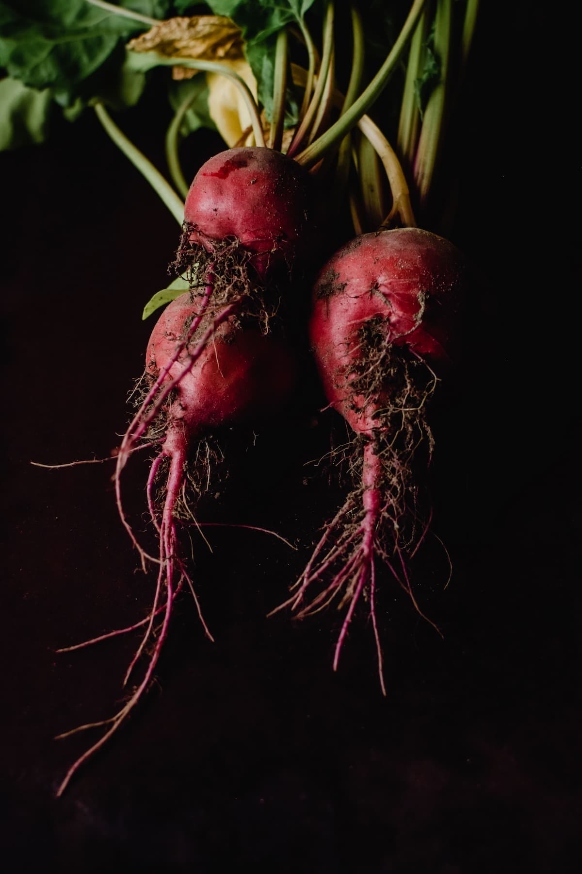 Lip Liquid Beetroot Shots tins